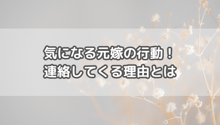 元嫁の行動